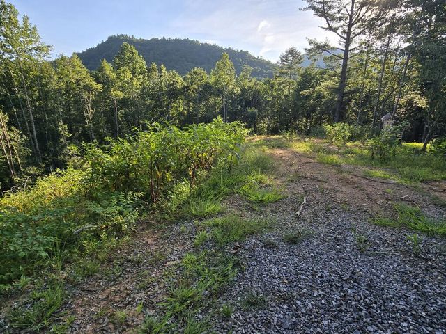 Lot 67 Hi River Country, Hiawassee, GA 30546
