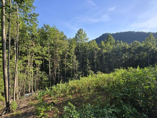 Lot 67 Hi River Country, Hiawassee, GA 30546