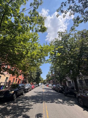 225 MADISON Street, New York City, NY 11216