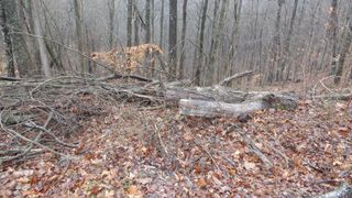 0 Savannah Drive, Smithville, TN 37166