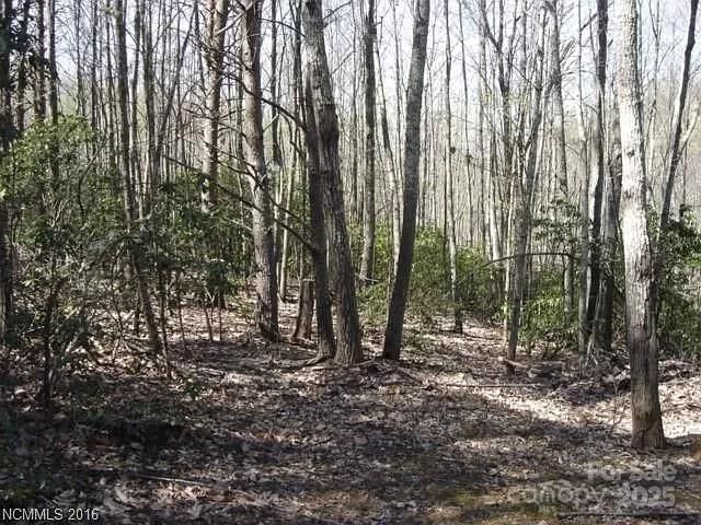 91 Old Forge Drive, Bostic, NC 28018