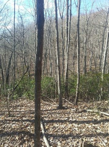 91 Old Forge Drive, Bostic, NC 28018