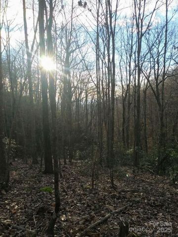 91 Old Forge Drive, Bostic, NC 28018