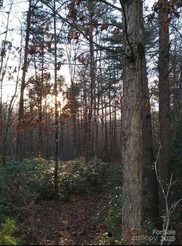 91 Old Forge Drive, Bostic, NC 28018