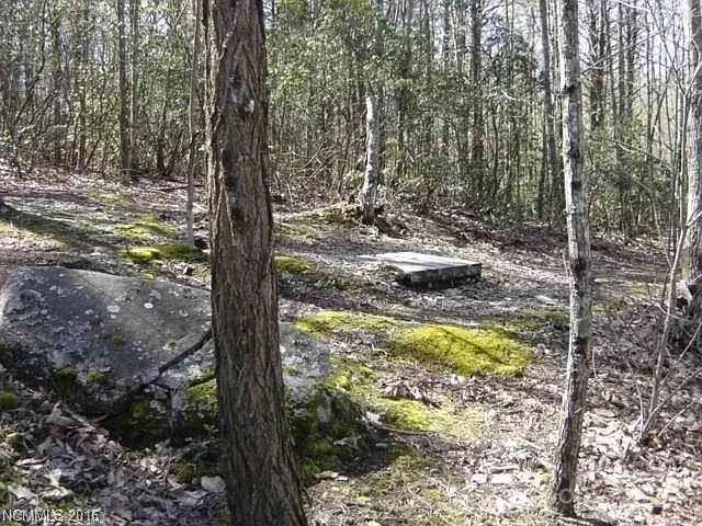 91 Old Forge Drive, Bostic, NC 28018