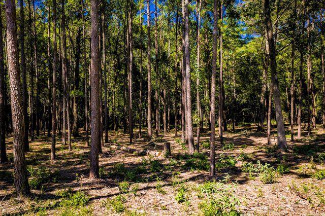 TBD N Old Israel, Livingston, TX 77351