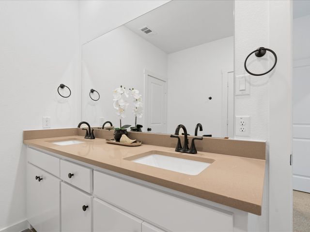 871 Cavitt Court, Prosper, TX 75078