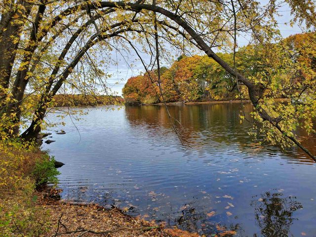 16 Walden Pond Drive, Nashua, NH 03064