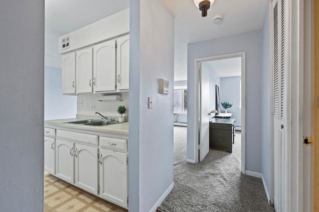 1475 Rebecca Drive 217, Hoffman Estates, IL 60169