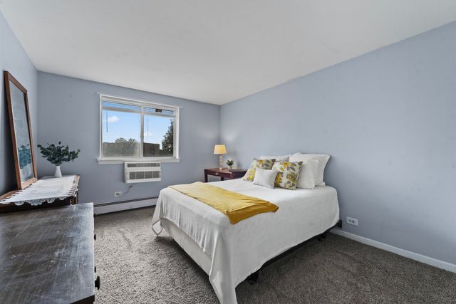 1475 Rebecca Drive 217, Hoffman Estates, IL 60169