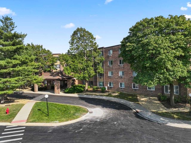 1475 Rebecca Drive 217, Hoffman Estates, IL 60169