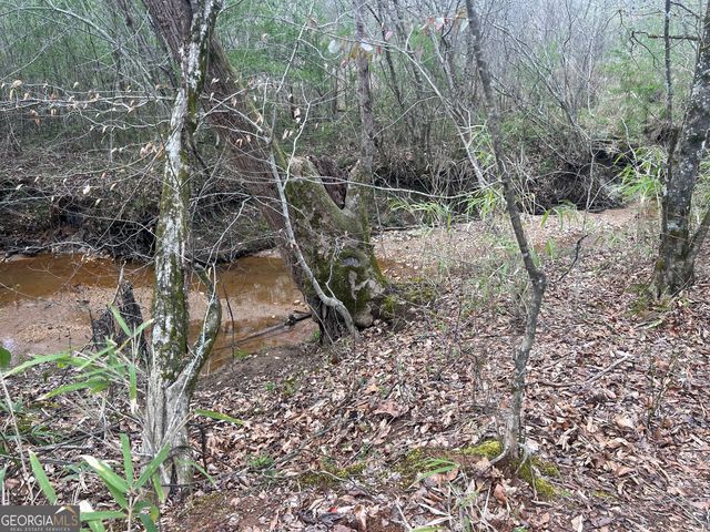 0 South Bridge Road, Franklin, GA 30217