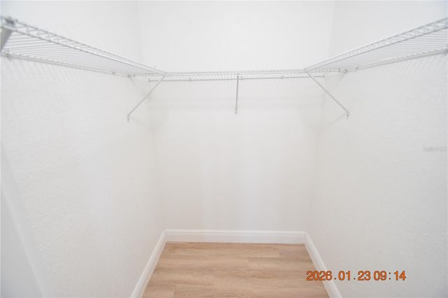 3606 RIVER GROVE DRIVE, Tampa, FL 33610