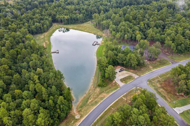 138 Cattle Haven Way, New Waverly, TX 77358