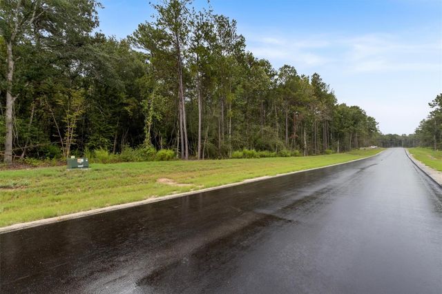 138 Cattle Haven Way, New Waverly, TX 77358