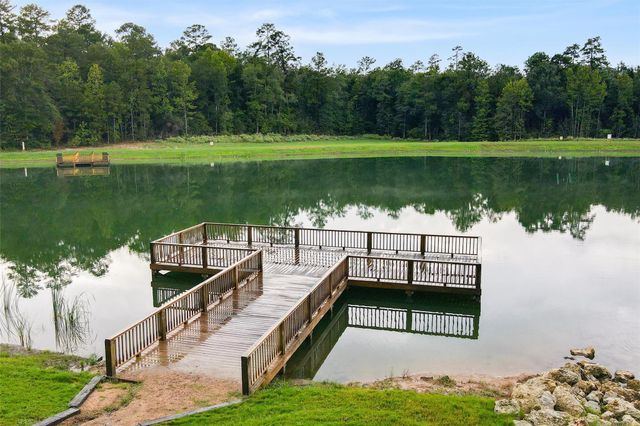 138 Cattle Haven Way, New Waverly, TX 77358