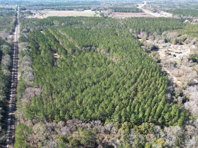 0 Old Fannie Rd, Flomaton, AL 36441