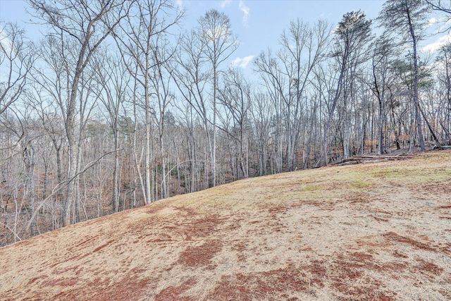 103 Bluff CT, Moneta, VA 24121