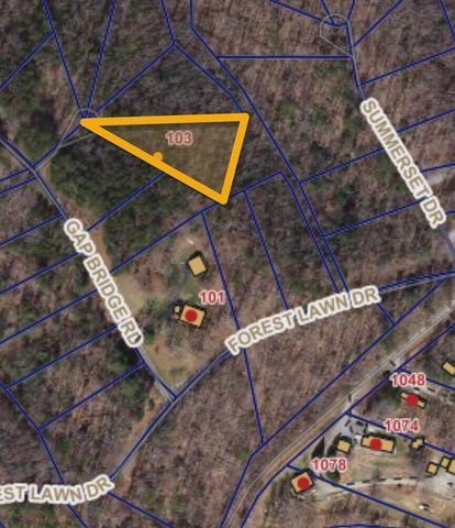 103 Bluff CT, Moneta, VA 24121