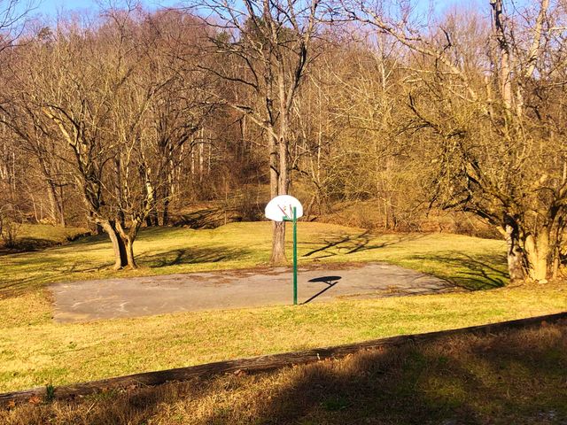 103 Bluff CT, Moneta, VA 24121