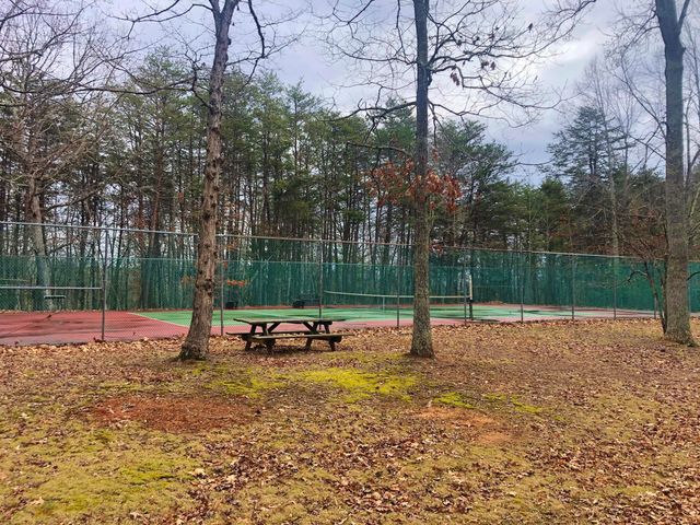 103 Bluff CT, Moneta, VA 24121