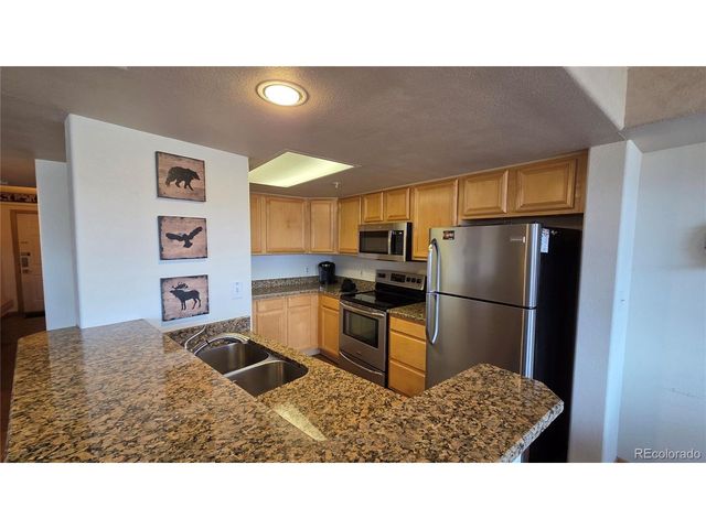 980 Lakepoint Dr South-408, Frisco, CO 80443