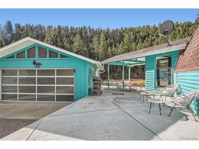 55 Iron Horse Ln, Bailey, CO 80421