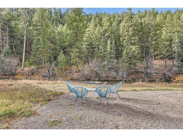 55 Iron Horse Ln, Bailey, CO 80421