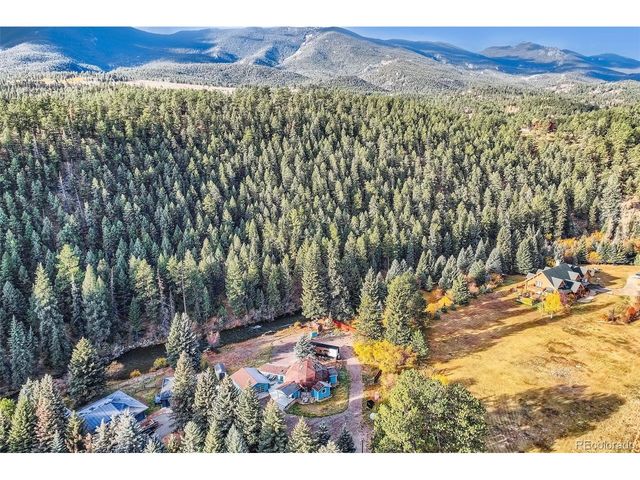 55 Iron Horse Ln, Bailey, CO 80421