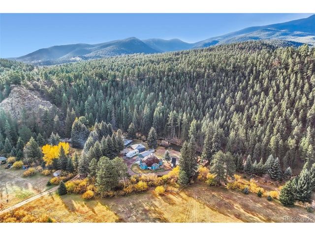 55 Iron Horse Ln, Bailey, CO 80421