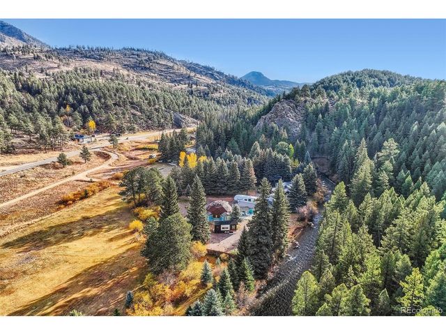 55 Iron Horse Ln, Bailey, CO 80421