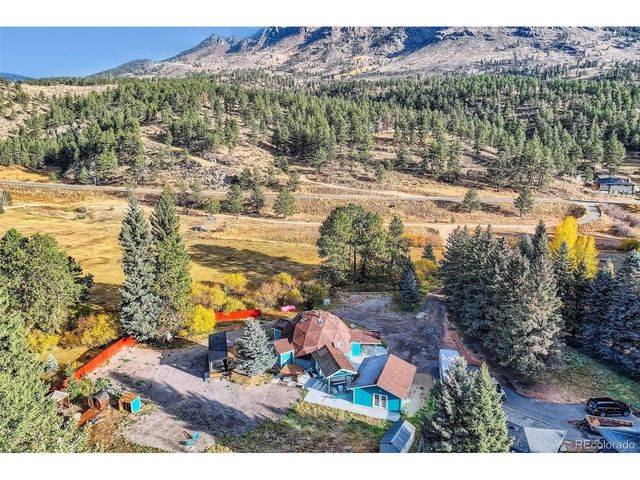 55 Iron Horse Ln, Bailey, CO 80421