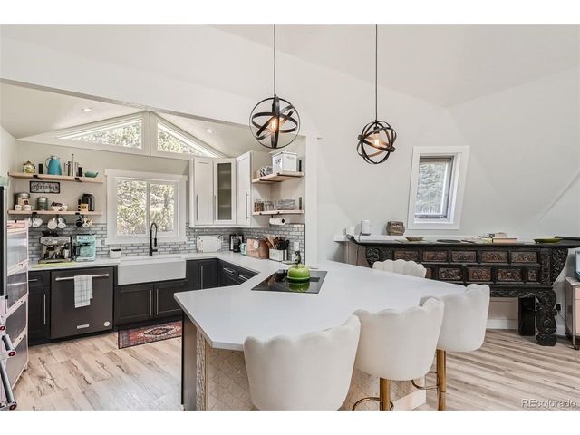 55 Iron Horse Ln, Bailey, CO 80421