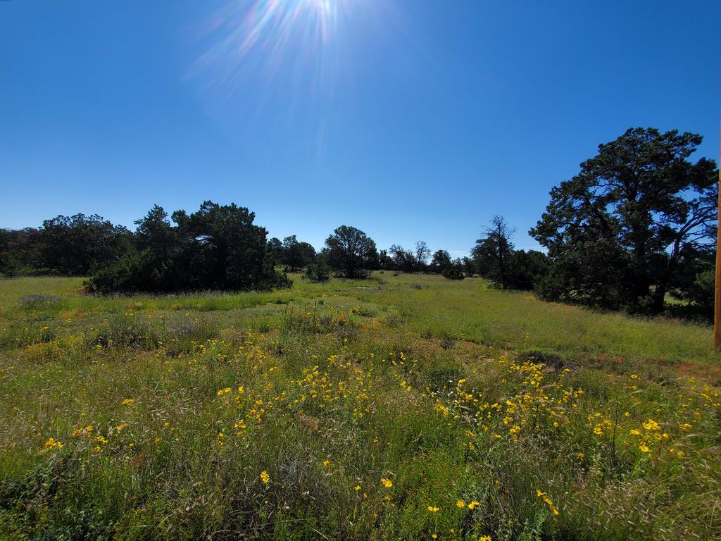 Image 23 of property listing at 4 Broken Arrow Way, Fence Lake, NM 87315