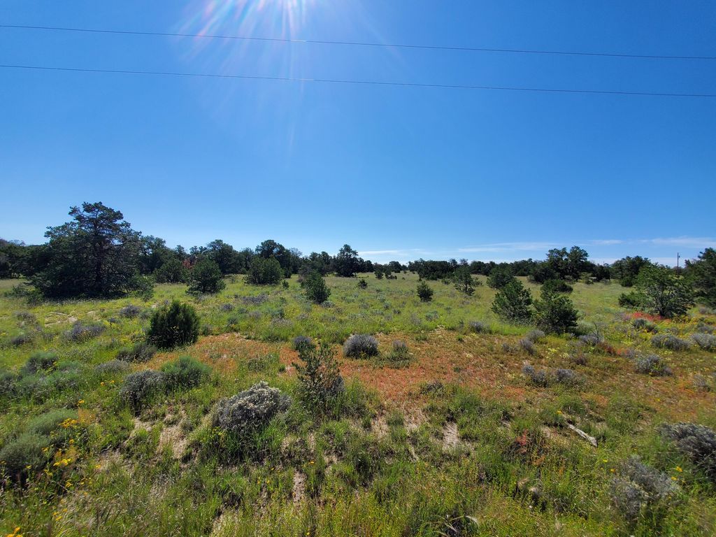 Image 25 of property listing at 4 Broken Arrow Way, Fence Lake, NM 87315