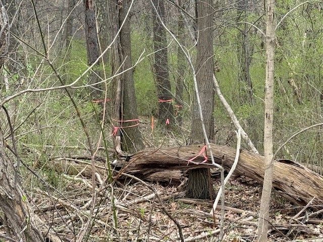 1765 Locust Rd, Franklin Park, PA 15143