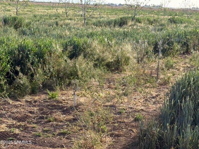 4789 SE Sunshine Road, Deming, NM 88030