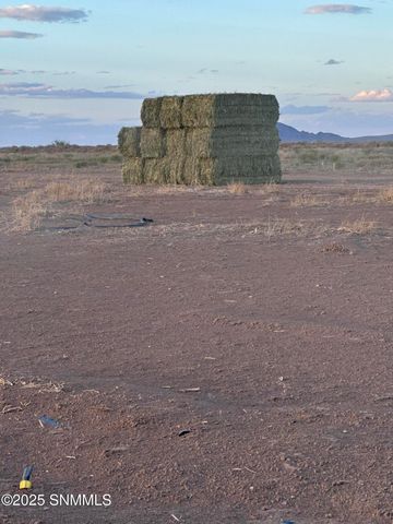 4789 SE Sunshine Road, Deming, NM 88030