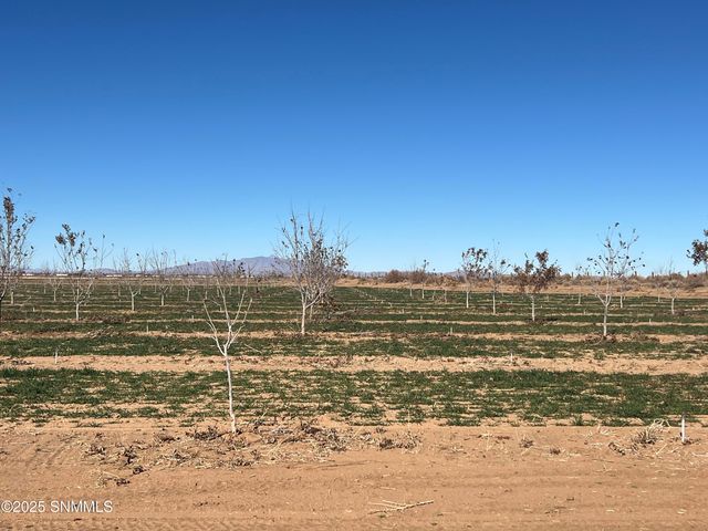 4789 SE Sunshine Road, Deming, NM 88030