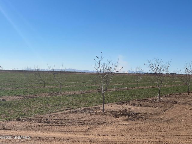 4789 SE Sunshine Road, Deming, NM 88030