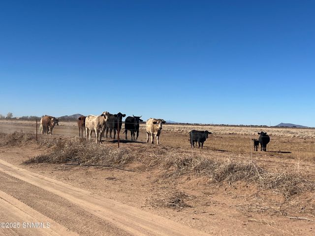 4789 SE Sunshine Road, Deming, NM 88030