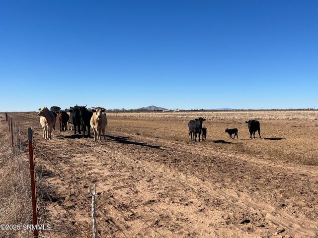 4789 SE Sunshine Road, Deming, NM 88030