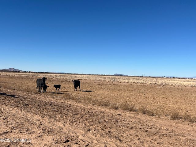 4789 SE Sunshine Road, Deming, NM 88030