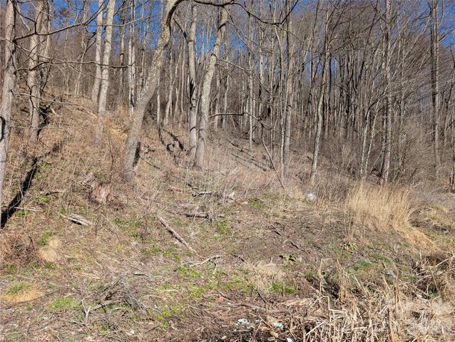 00 Great Smoky Mountain Expy Highway, Waynesville, NC 28786