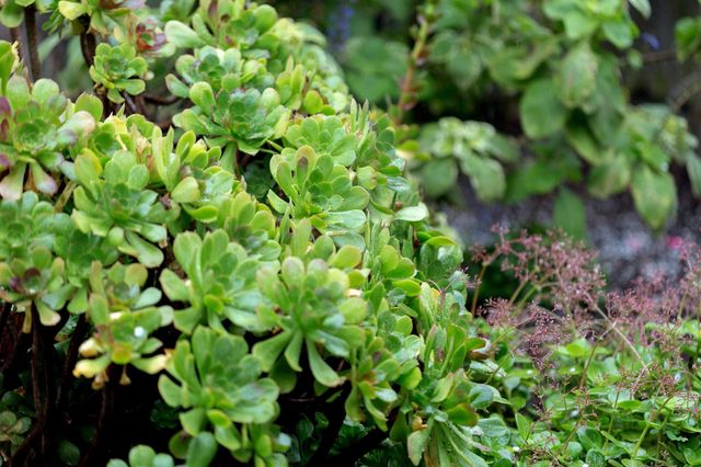 3081 23rd Avenue, Oakland, CA 94602