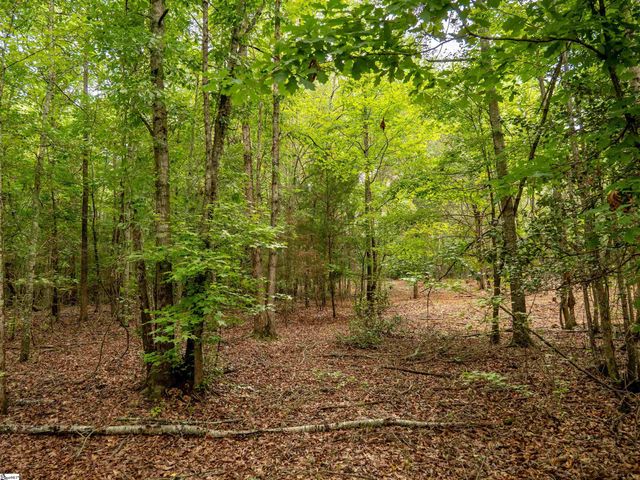 00 Terry Road Lot 6, Fountain Inn, SC 29644