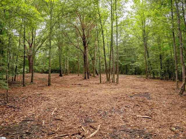 00 Terry Road Lot 6, Fountain Inn, SC 29644