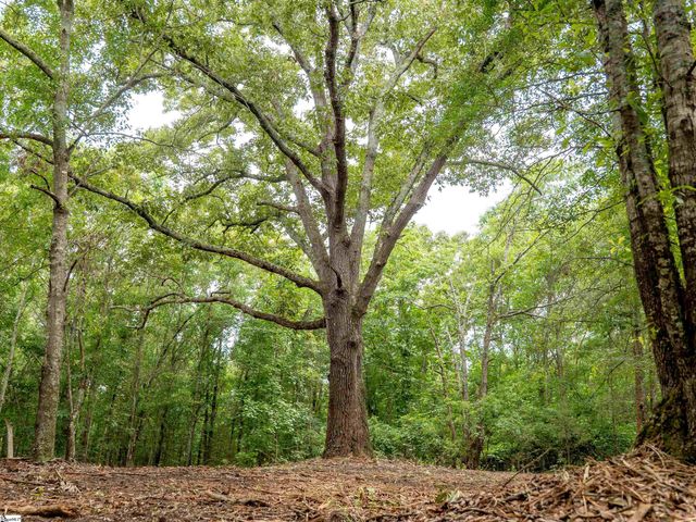 00 Terry Road Lot 6, Fountain Inn, SC 29644