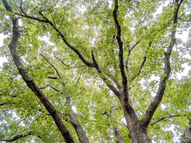 00 Terry Road Lot 6, Fountain Inn, SC 29644