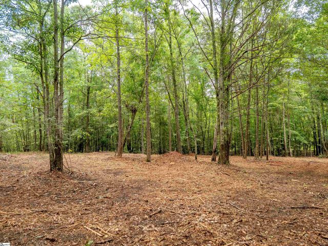 00 Terry Road Lot 6, Fountain Inn, SC 29644